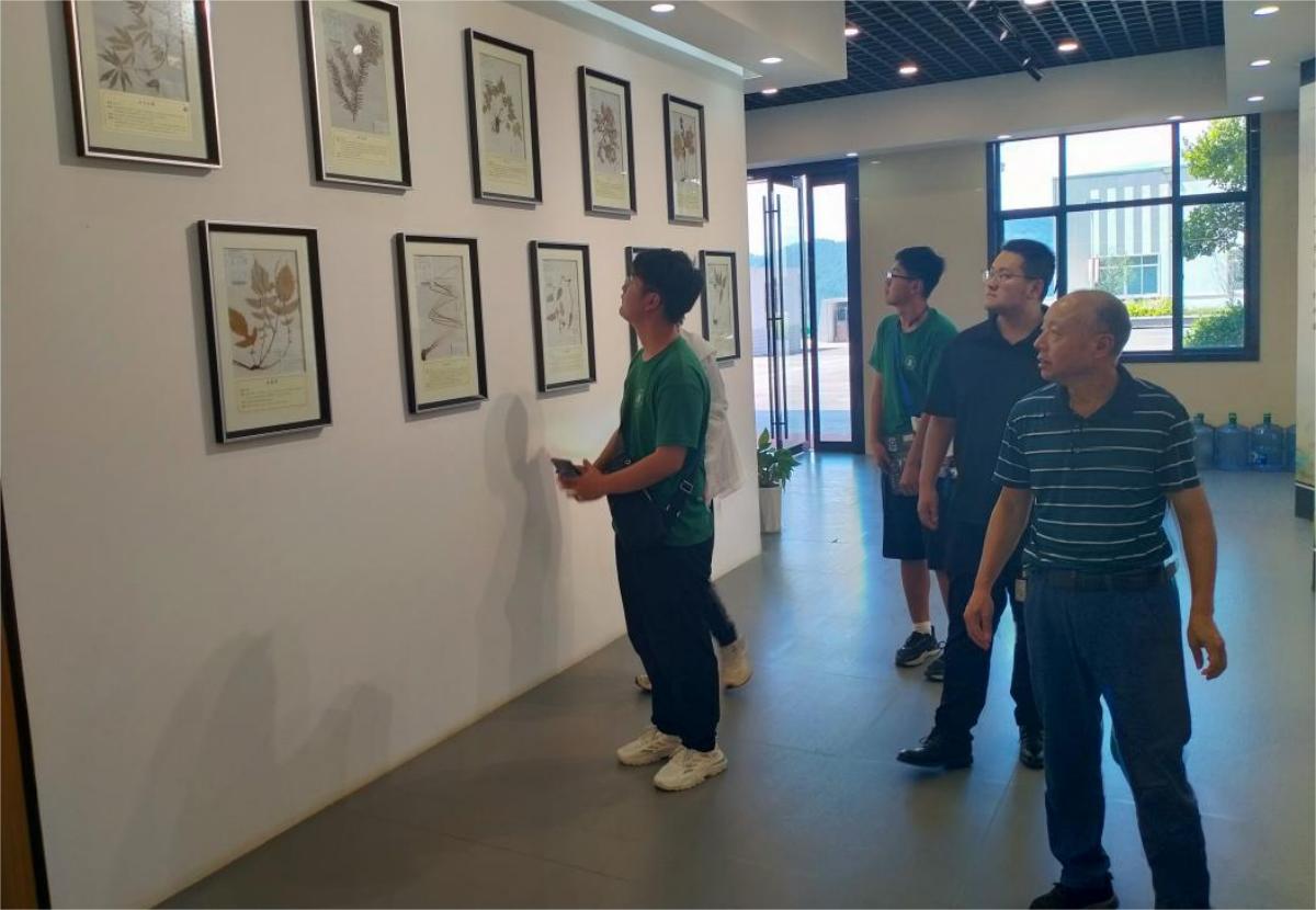 何经理引导团队成员参观欣中医药标本展厅（bat365中文官方网站 供图）(1)